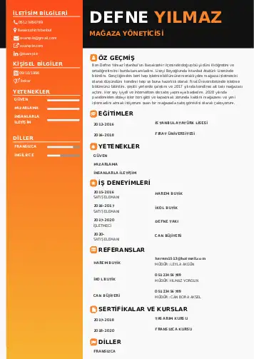 Yönetici CV Örnekleri cv indir